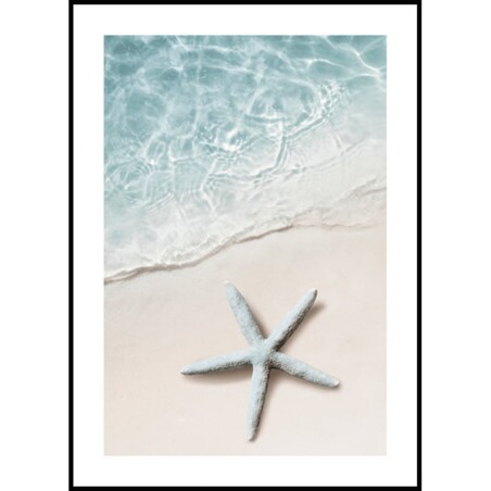 Poster Story, Plakat, Obraz - Rozgwiazda, wymiary 60 x 84 cm