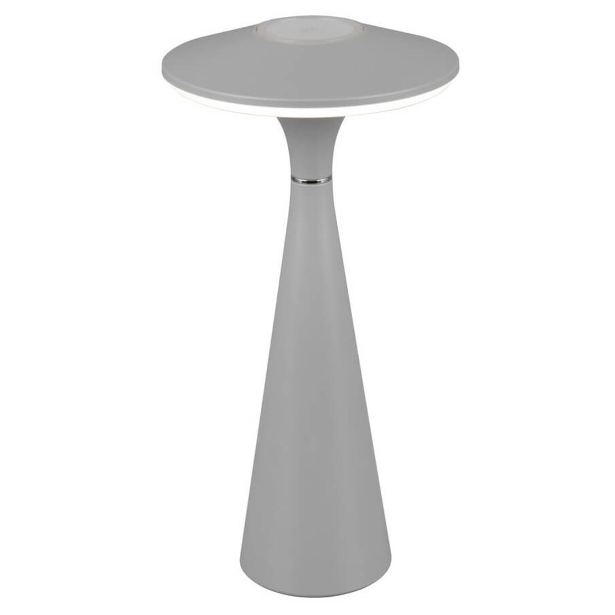 Stojąca lampa ledowa Torrez R57726177 RL Light LED 2W 3000-5000K IP44 szara