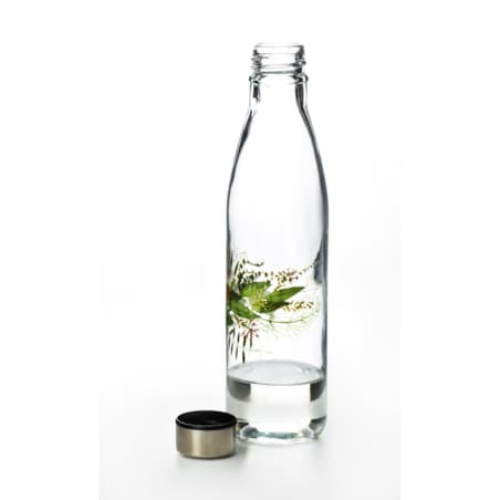 HOLLIE IDYLLIC Butelka 750ml