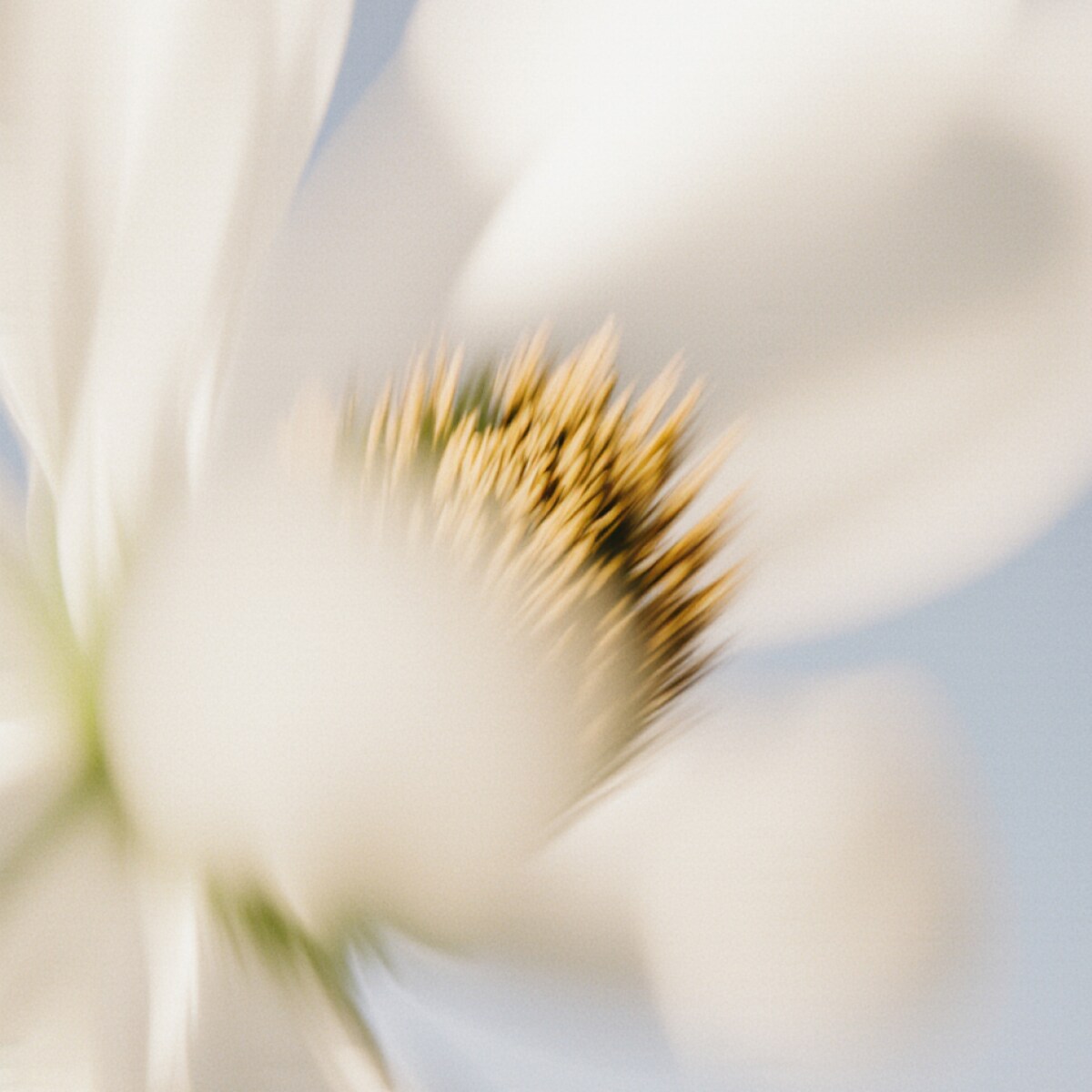 Côte Blanche - 30ml zapach do Dyfuzora Plug In