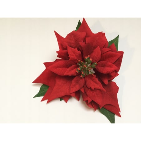 GWIAZDA WELUROWA duża poinsecja BETLEJEMSKA CZERWONA jak żywa na bukiet