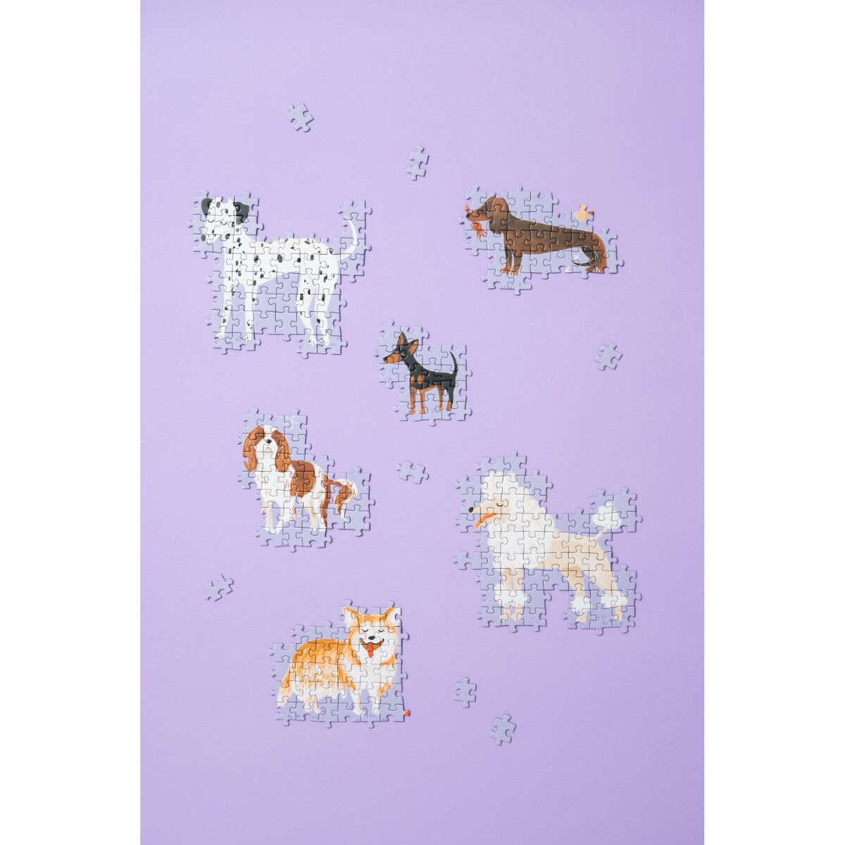 Muno Puzzle "Psinki" by Weronika Cholewa Puzzle z psami 1000 el. w ozdobnej tubie