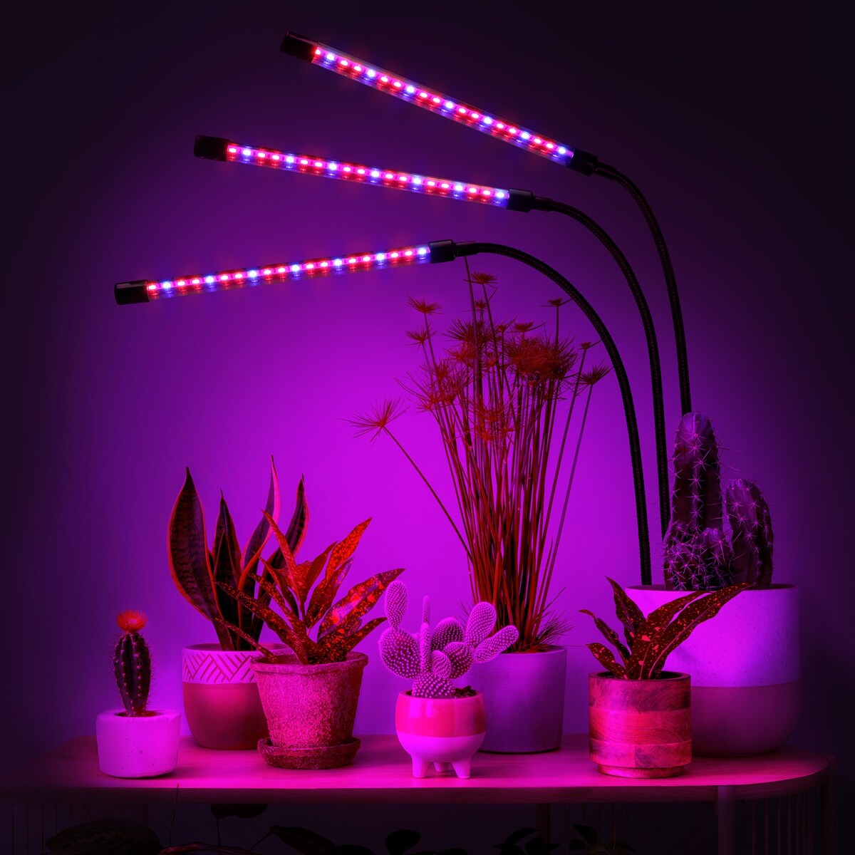 Lampa Led Do Wzrostu Roślin 60 Diod Timer 24 W Uprawa Roślin Do Domu Z Zasilaczem Sieciowym