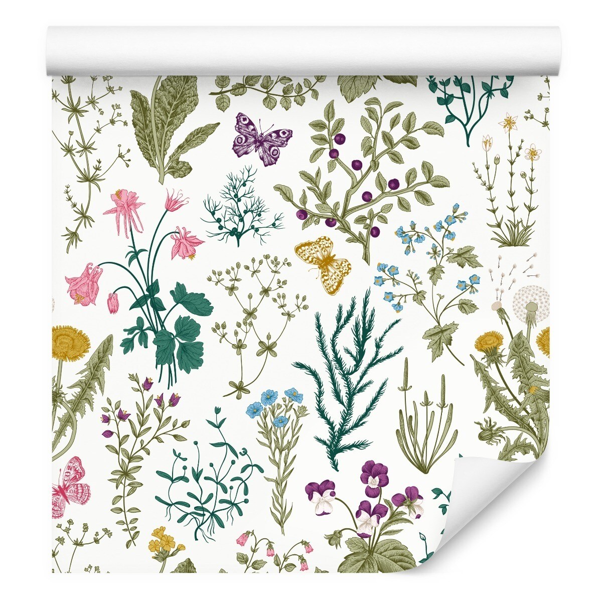 Tapeta Kolorowe Rośliny KWIATY Liście Motyle