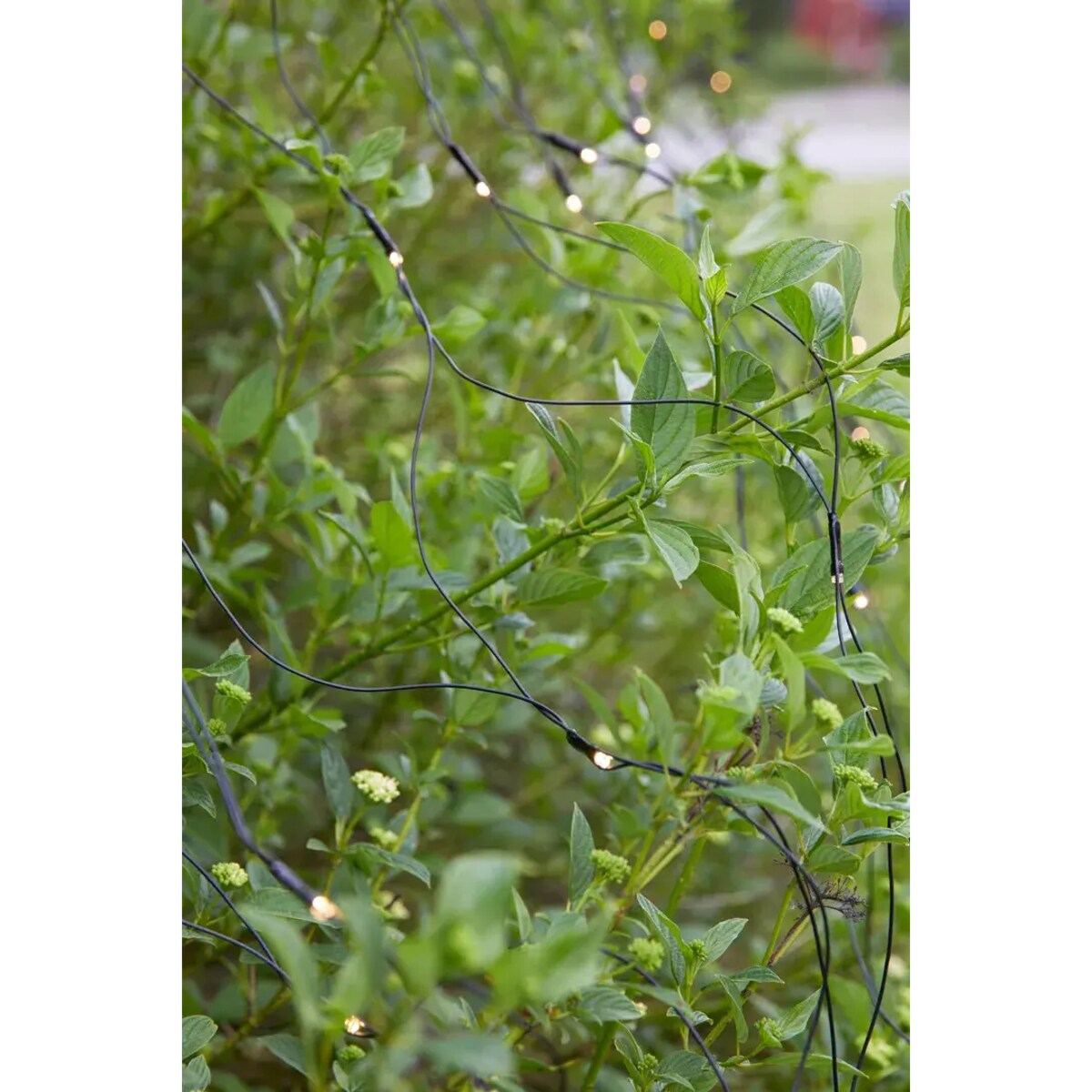 Wisząca dekoracja ogrodowa Garden 24 LED 4,8W świetlna