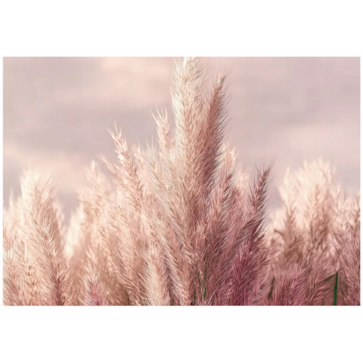 Fototapeta Do Sypialni Salonu Na Flizelinie Trawa pampasowa Natura Różowy 400x280
