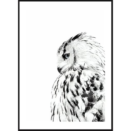 Poster Story, Plakat, Obraz - Sowa w Akwareli, wymiary 21 x 30 cm