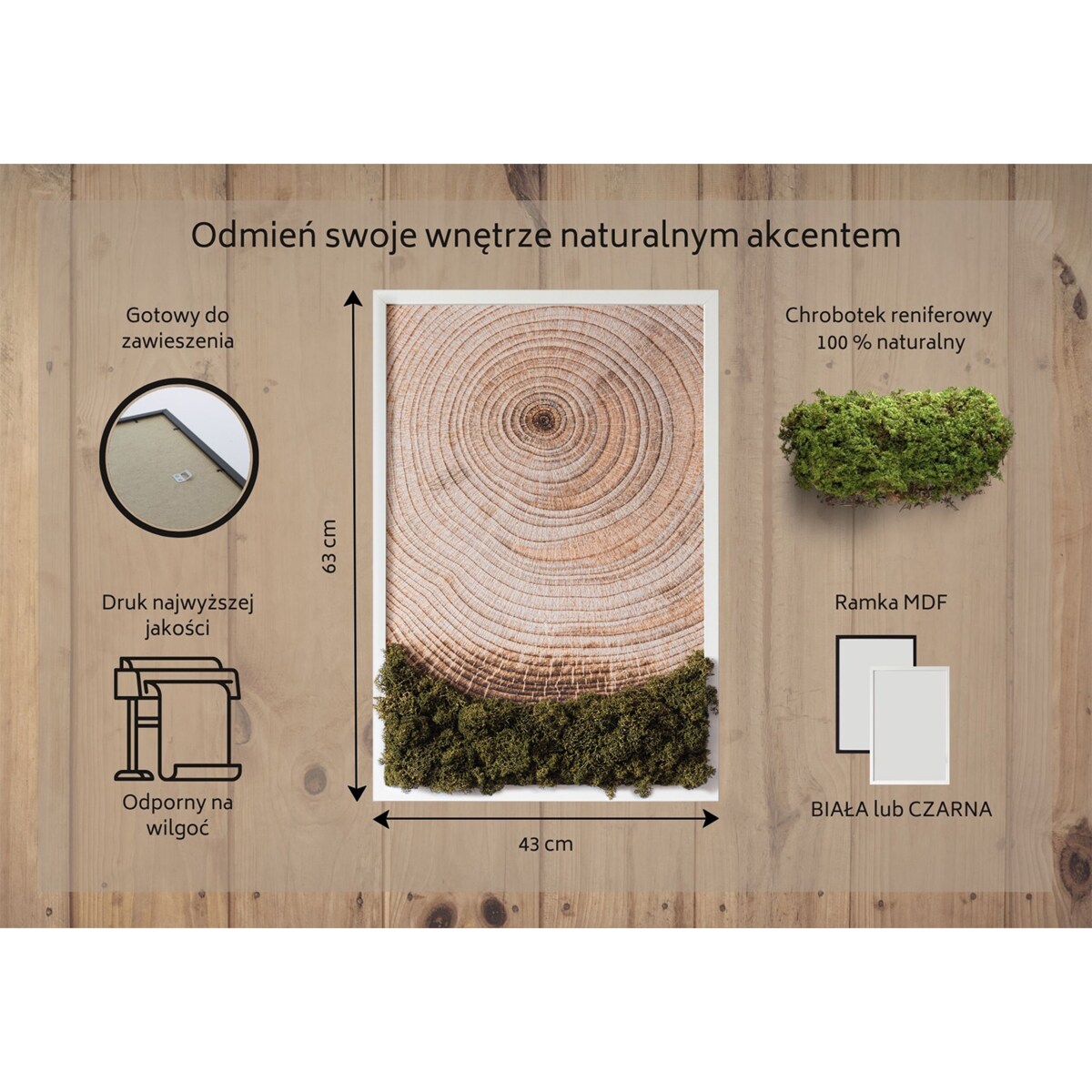 Obraz Słoje drewna - mech chrobotek w białej ramie 40x60cm