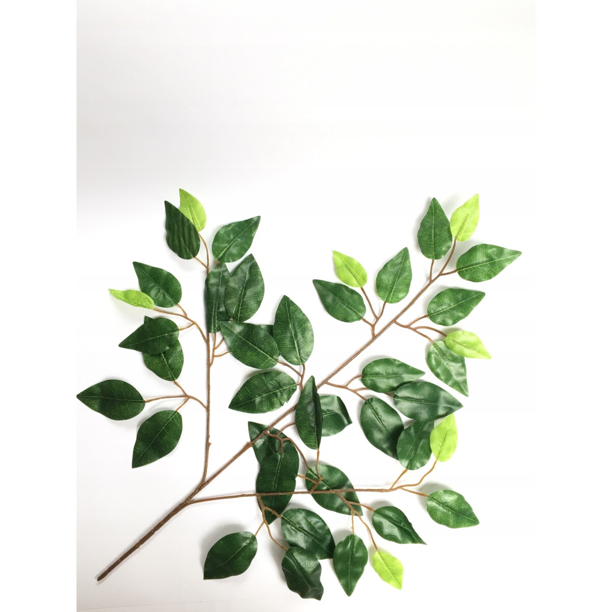 GAŁĄZKI LIŚCI FIKUS do stroiki bukiety dodatek
