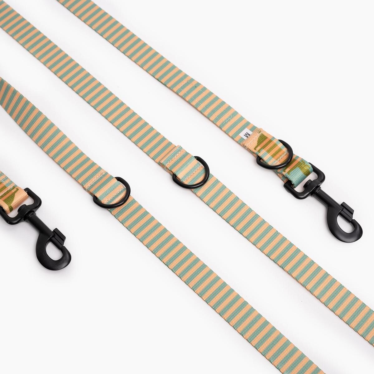 Smycz przepinana dla psa lub kota "Piesss" - Szerokość taśmy: 15mm, Rozmiar: S oraz Rodzaj: Mini karabinek