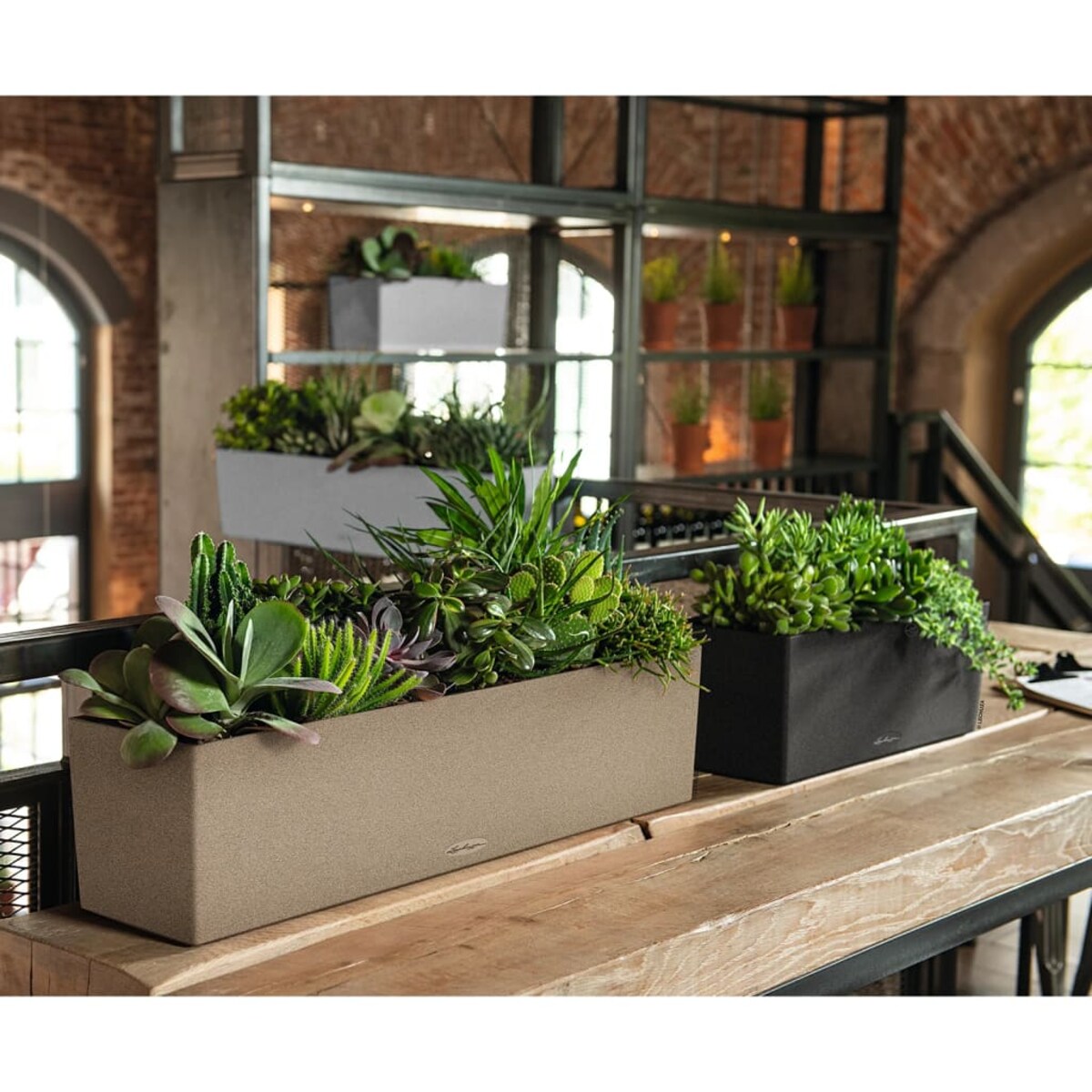 LECHUZA Donica BALCONERA Stone 80 ALL-IN-ONE, beżowa