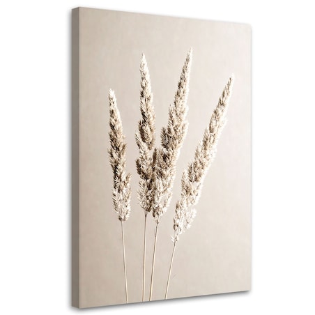 Obraz do salonu kuchni jadalni, Trawa pampasowa rośliny beżowy 60x90