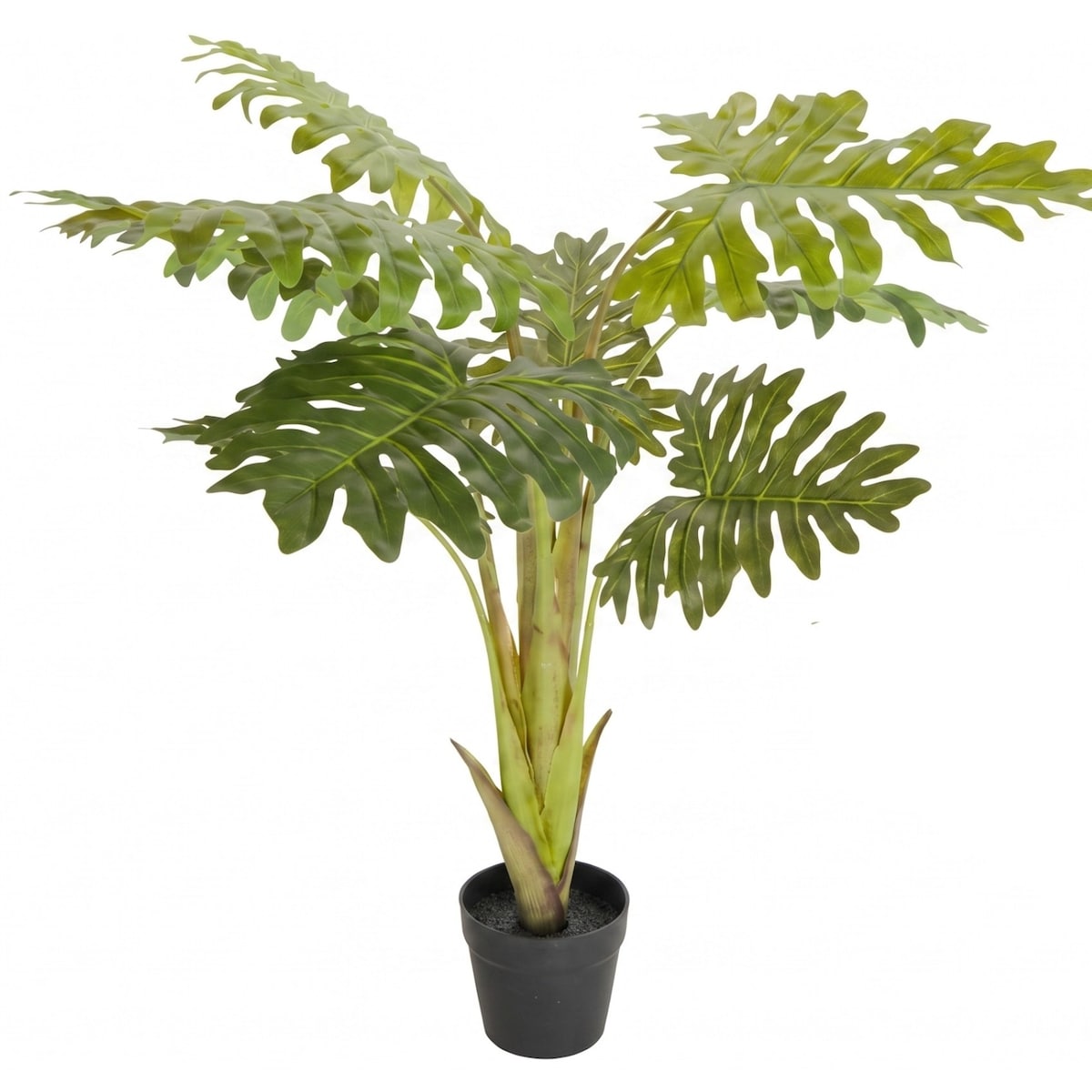 Sztuczna roślina, filodendron podwójnie pierzasty, 110 cm