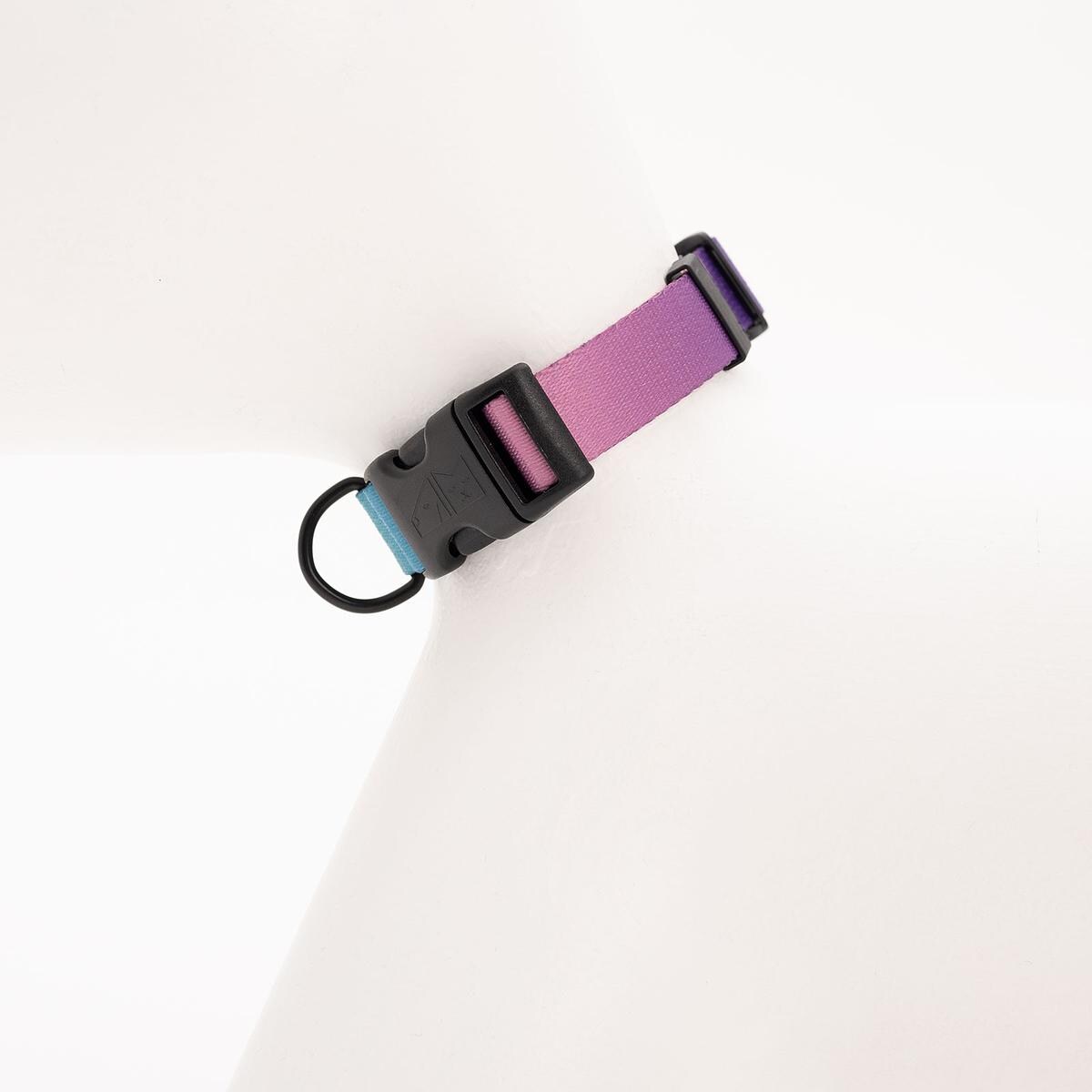 Obroża dla psa lub kota "Under my ombrella" TURKUS - Szerokość taśmy: 38mm, Rozmiar: XL