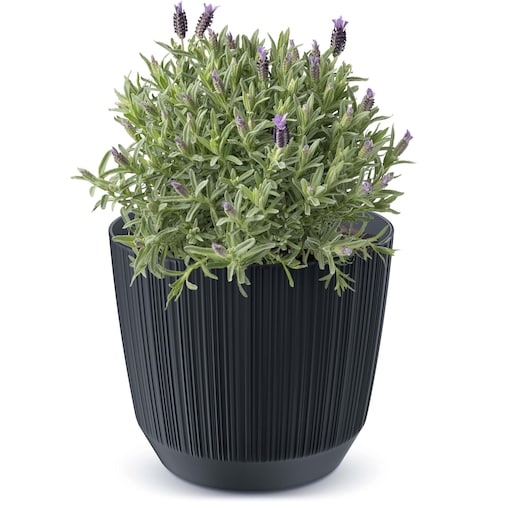 Doniczka Osłonka Domowa 16,8 Cm Ryfo Na Stół Parapet Do Domu Antracytowa