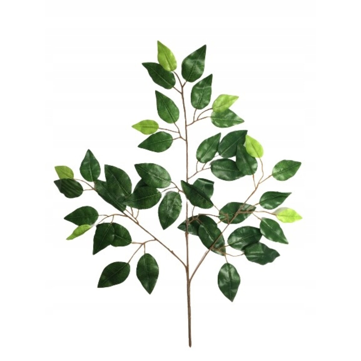 GAŁĄZKI LIŚCI FIKUS do stroiki bukiety dodatek
