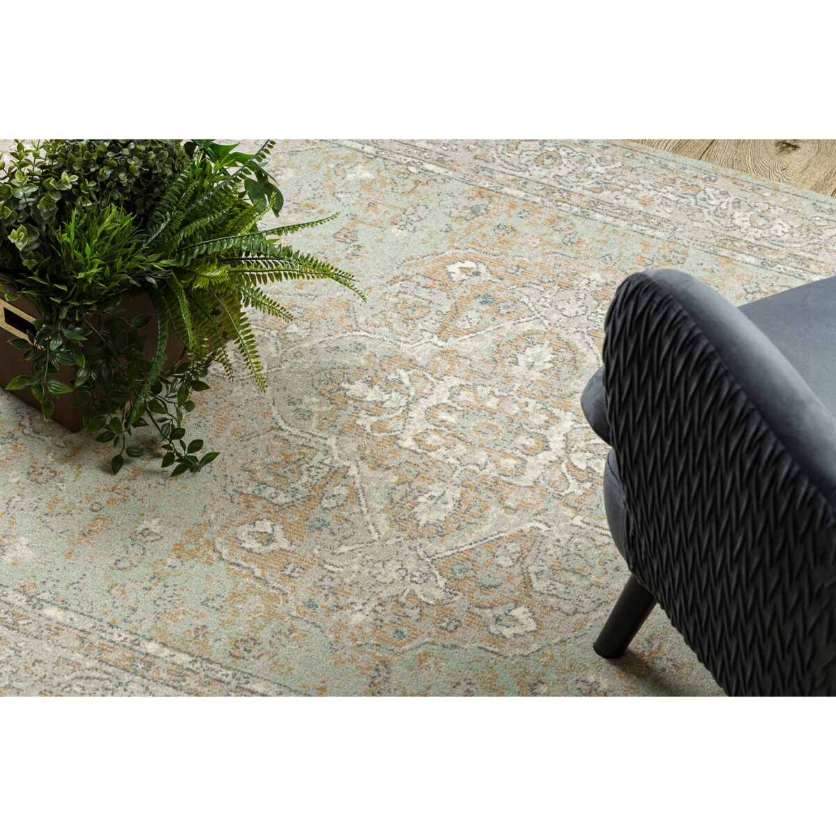 Dywan SOHO 477.01.LA402 wełniany OSTA - 80x160 cm