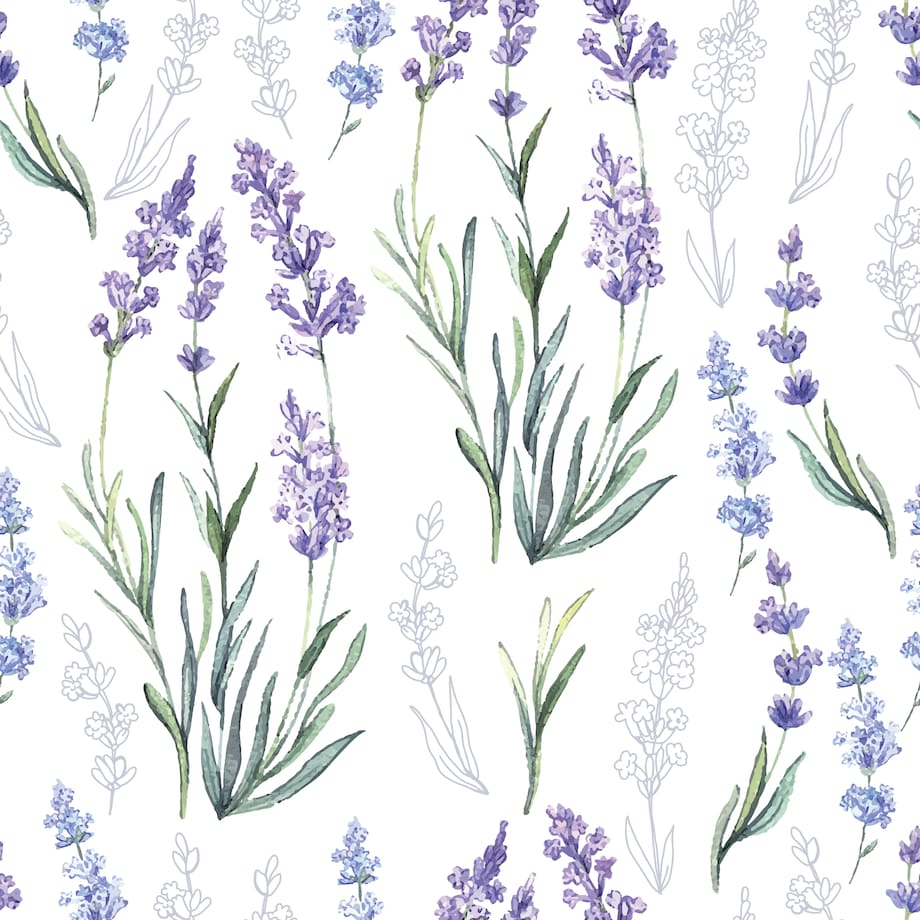 Tapeta lawenda fioletowe kwiaty natura