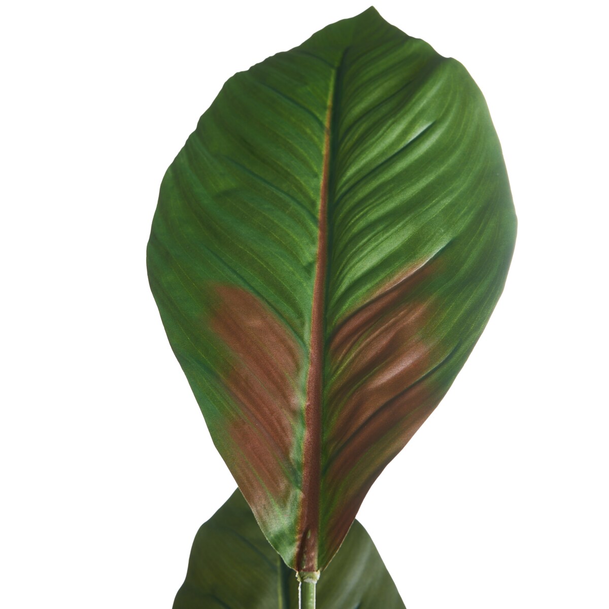 Sztuczna roślina PURPURATA 130 cm Czerwony