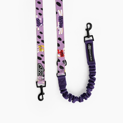 Smycz przepinana z amortyzatorem dla psa lub kota "Pieski floreski"