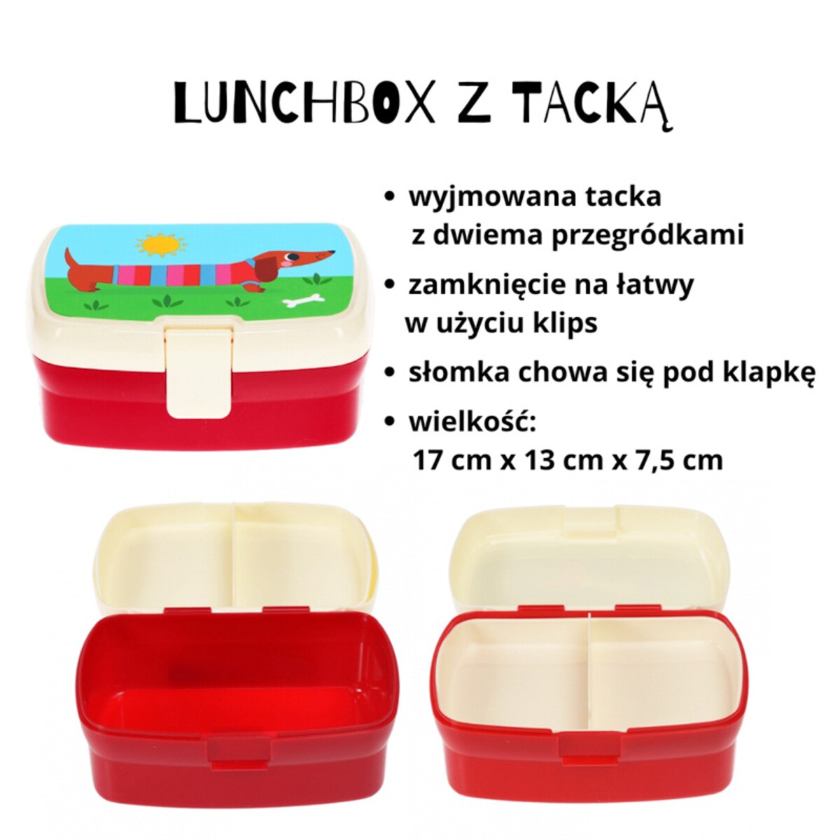 Zestaw do szkoły: bidon ze słomką 500 ml + Lunchbox z tacką Jamniki, Rex London