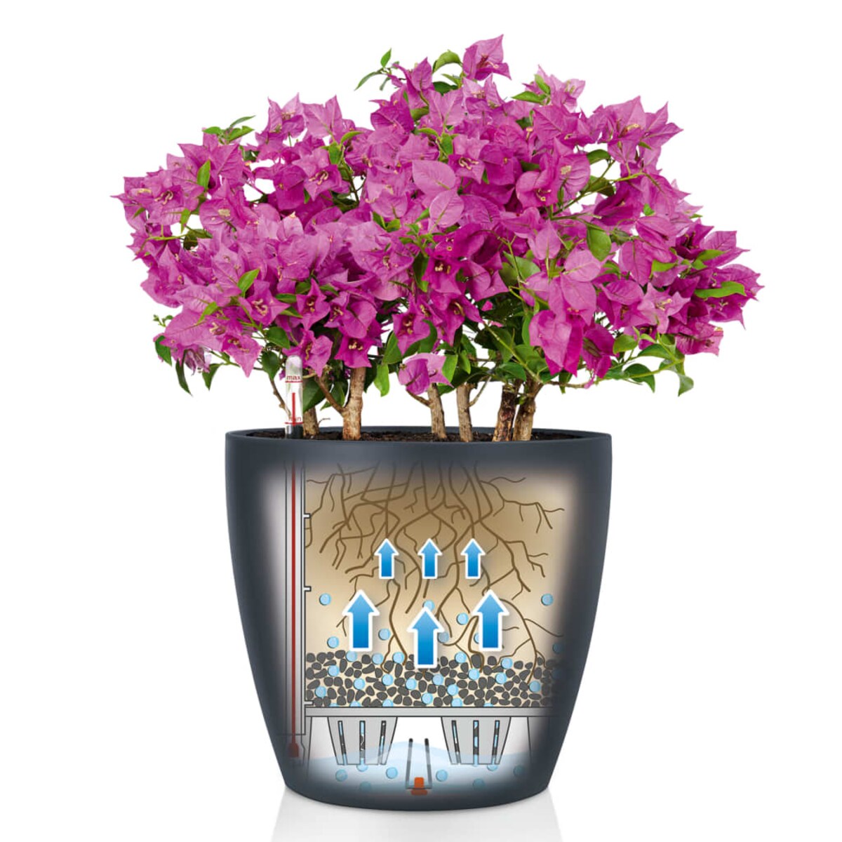 LECHUZA Donica Classico Color 35 ALL-IN-ONE, szara, 13224