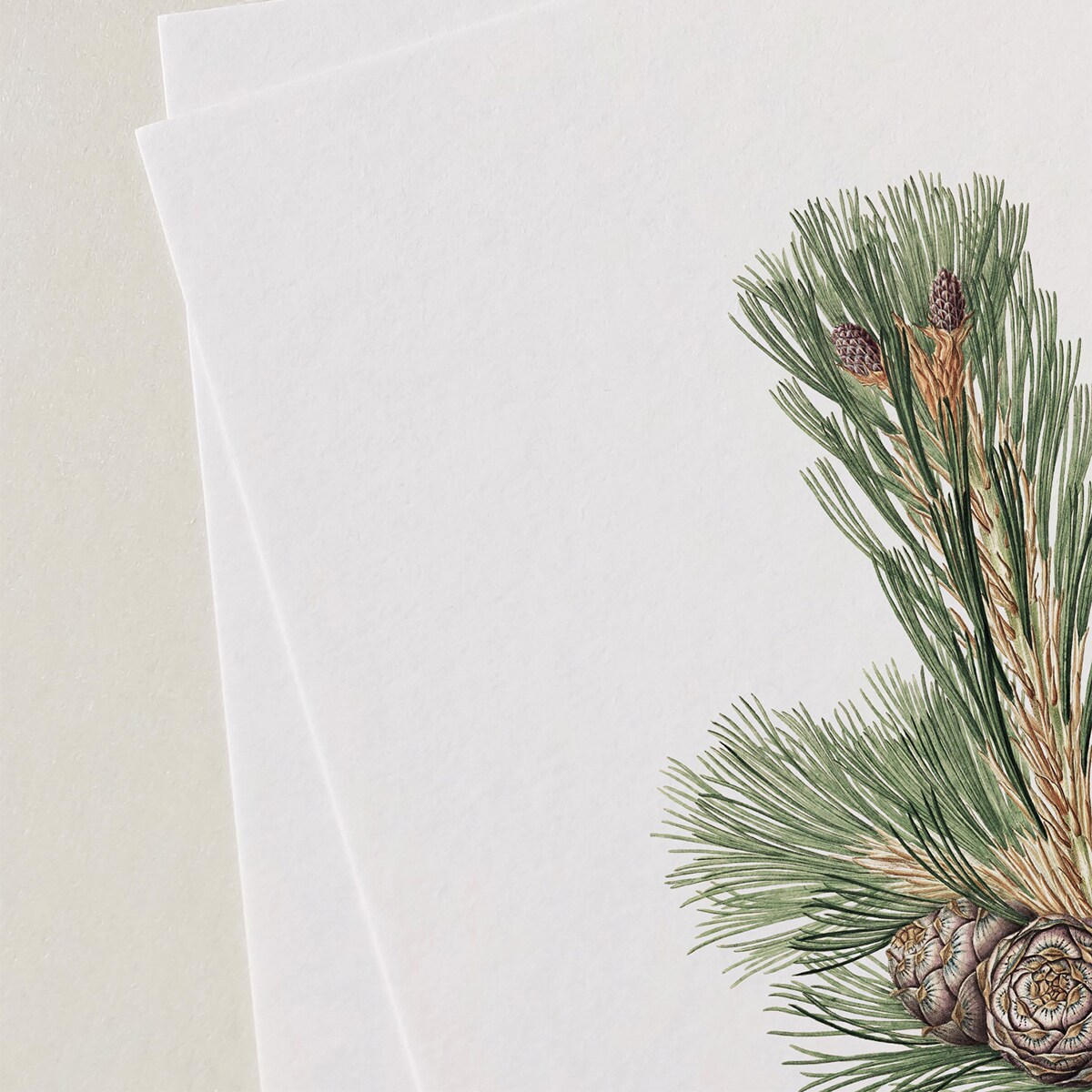 Plakat Gałązka sosny z szyszkami 30x40cm