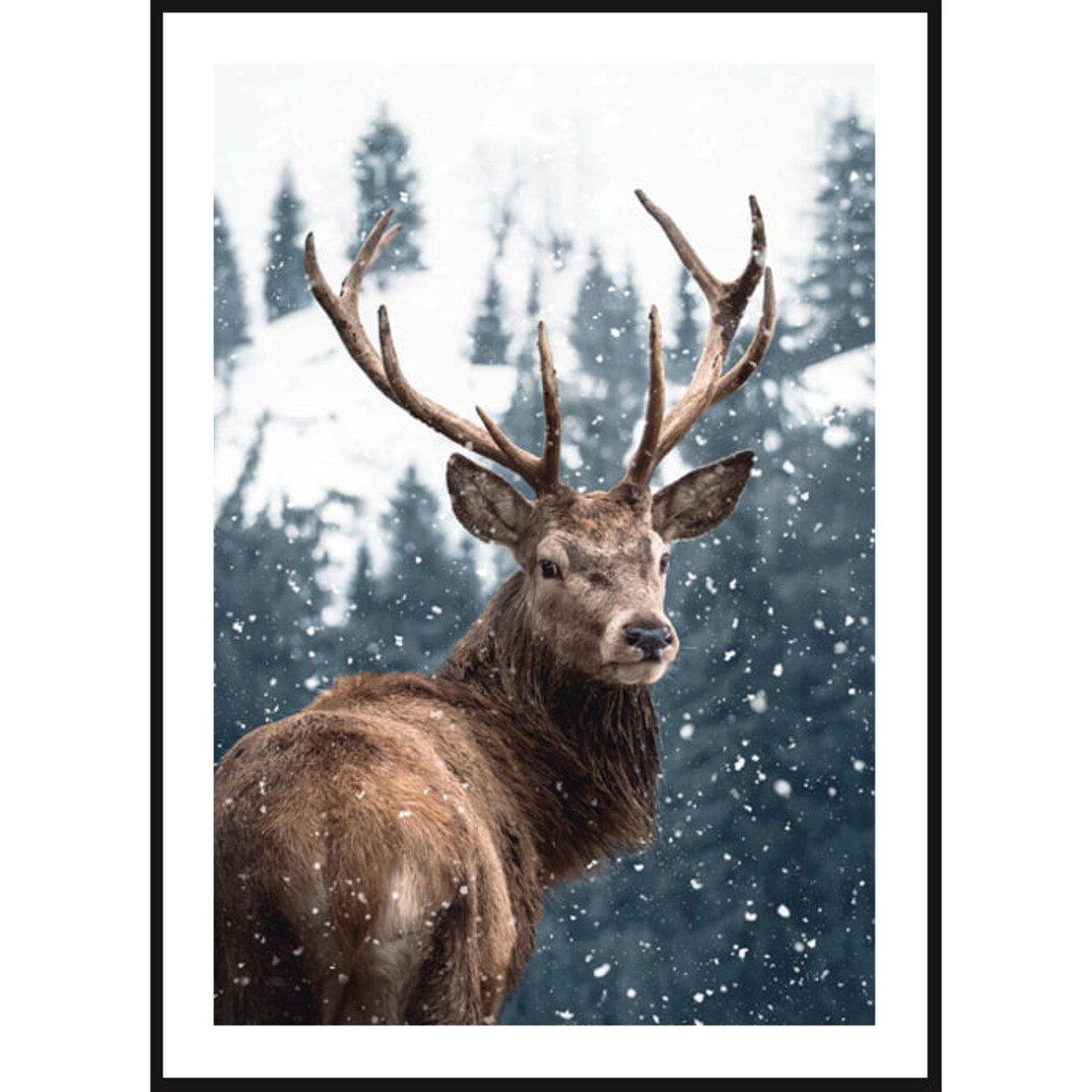 Poster Story, Plakat, Obraz - Jeleń w Śniegu, wymiary 50 x 70 cm