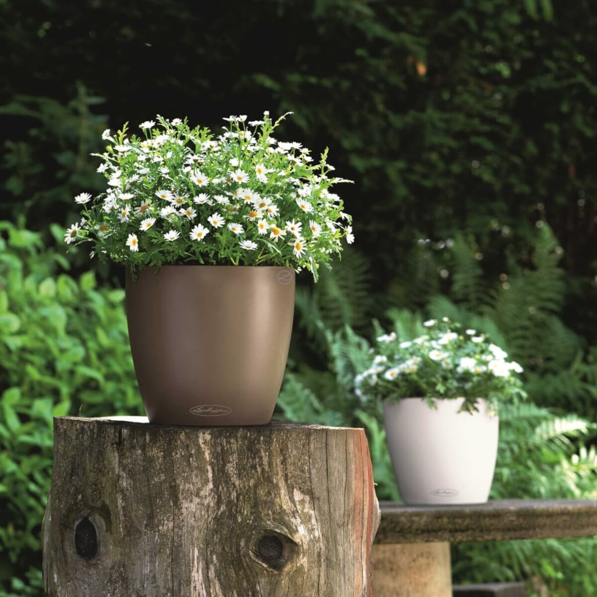 LECHUZA Donica Classico Color 35 ALL-IN-ONE, biała, 13210