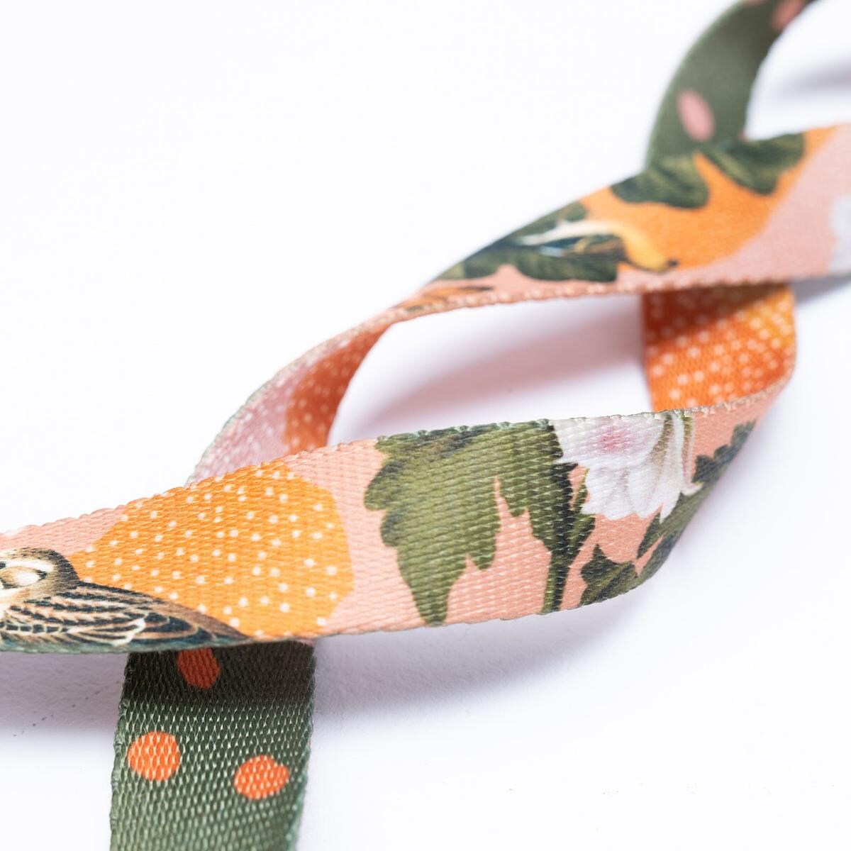 Smycz miejska dla psa lub kota "Wie wiórka co dobre" - Szerokość taśmy: 25mm, Rozmiar: S oraz Rodzaj: Duży karabinek