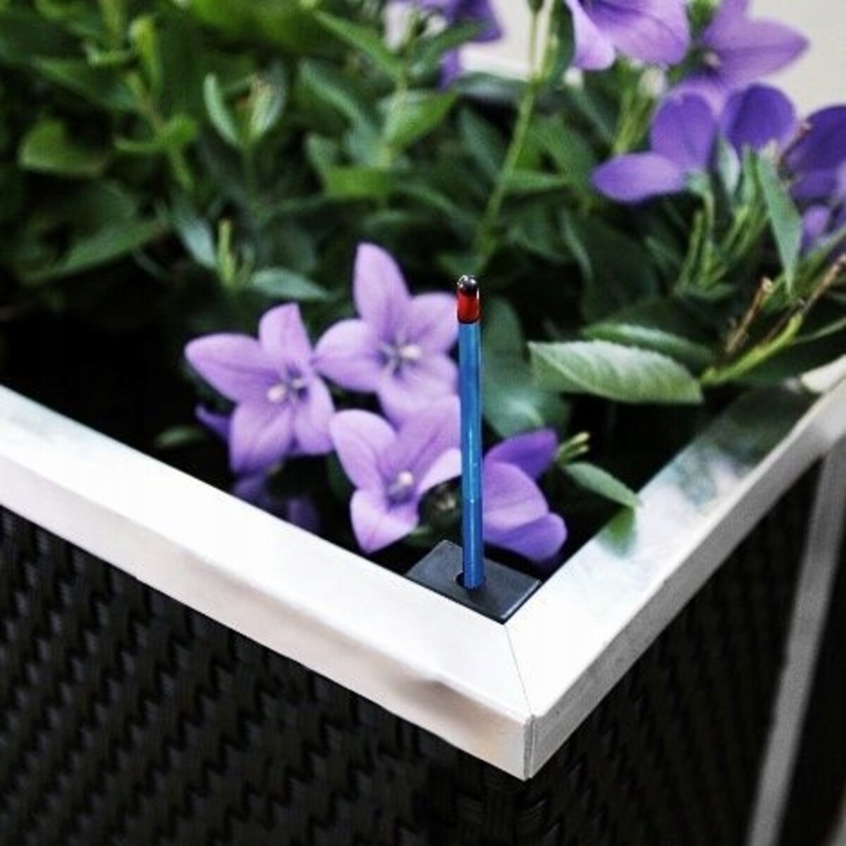 Donica samonawadniająca 50x50x43 miedziana - idealna dla Twojego ogrodu