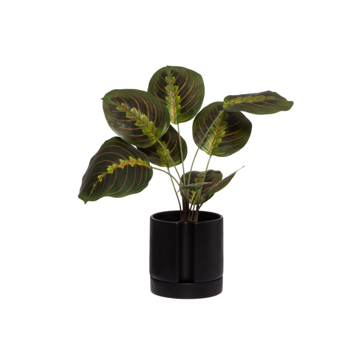 Doniczka z systemem nawadniającym, Ø 15 cm