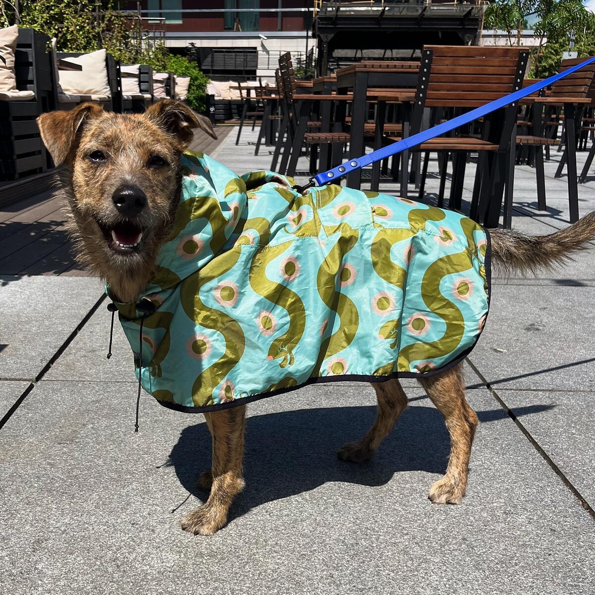 Płaszcz przeciwdeszczowy dla psa Piesss - Rozmiar: XS