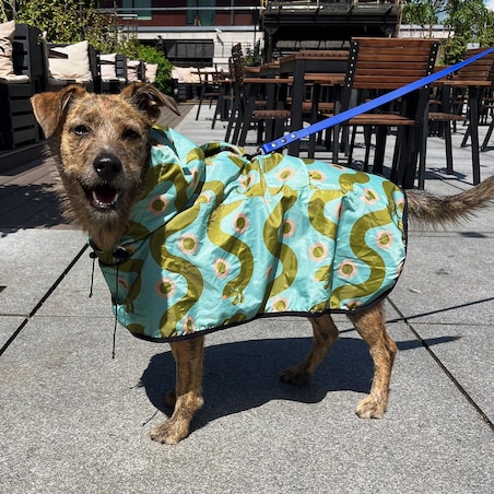 Płaszcz przeciwdeszczowy dla psa Piesss - Rozmiar: XS