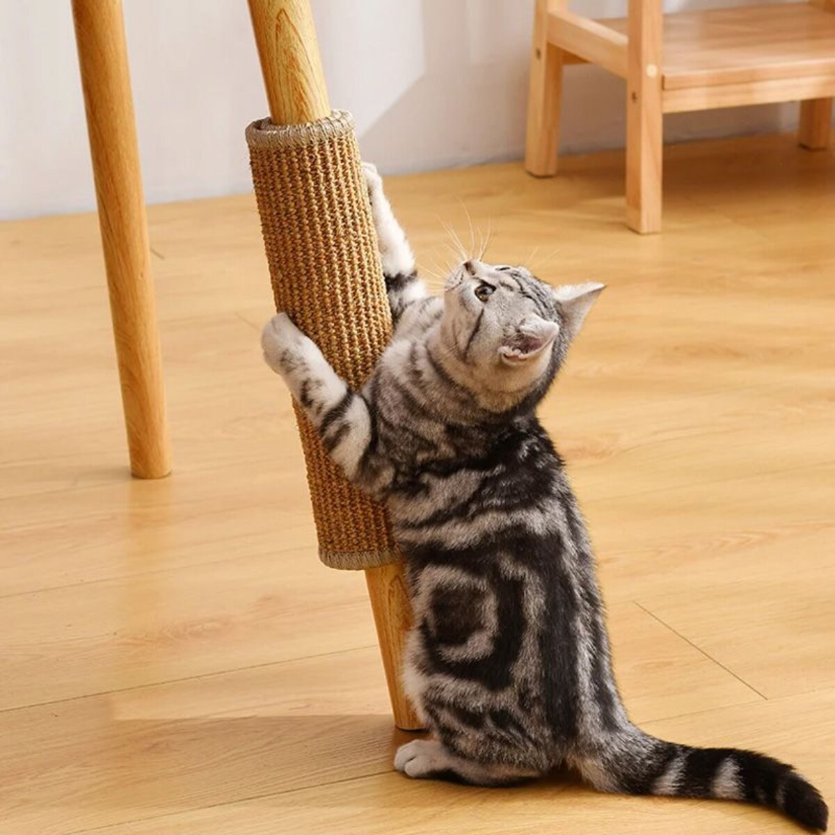 DRAPAK MATA DLA KOTA 60x40cm 332494