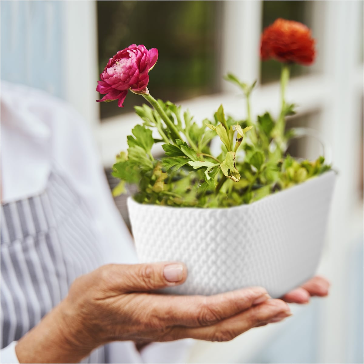 Donica Na Cmentarz Skrzynka Korytko Doniczka Na Wszystkich Świętych 29,7 Cm Biała