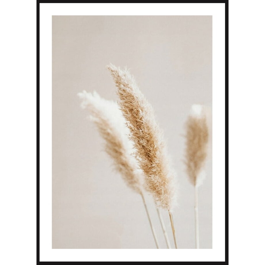 Poster Story, Plakat, Obraz - Suszona Trawa Pampasowa Ecru, wymiary 30 x 42 cm