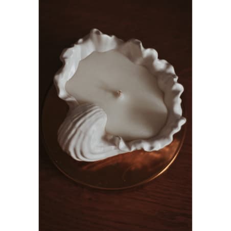 Świeca sojowa Muszla 100 g Biel N°10 "Jesienna Symfonia"