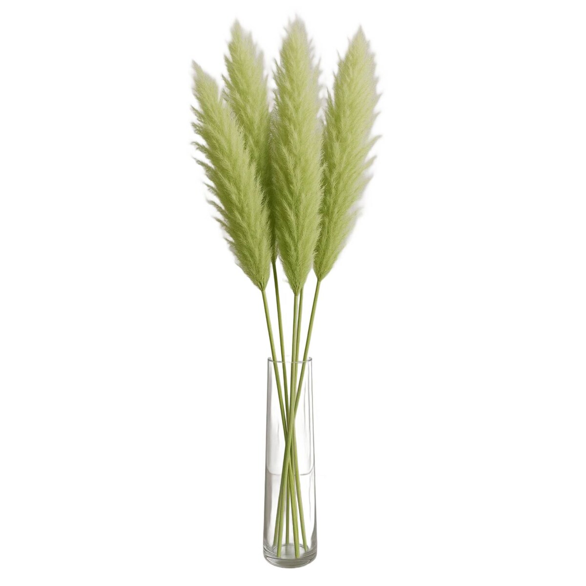Zestaw 5 sztuk zielonych stabilizowanych Traw Pampasowych| Wysokość 160 cm