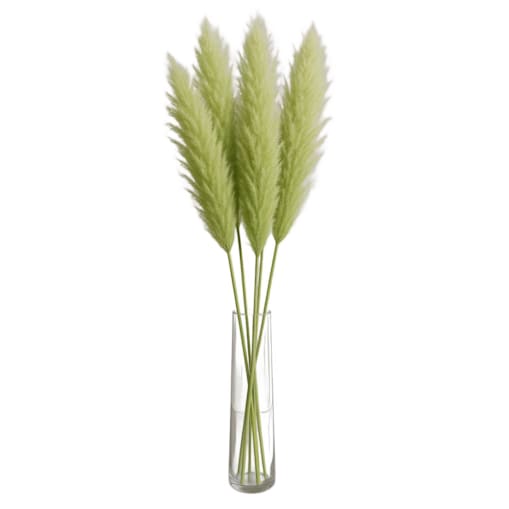 Zestaw 5 sztuk zielonych stabilizowanych Traw Pampasowych| Wysokość 160 cm