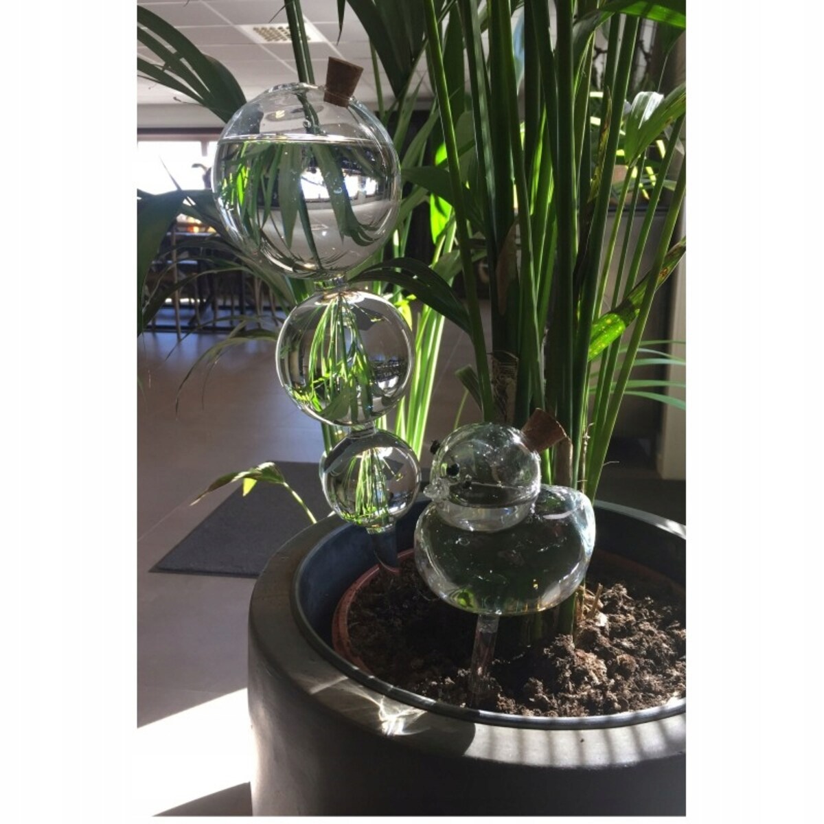 KULA NAWADNIAJĄCA SZKLANA nawadniacz do doniczek przezroczysty 370ml