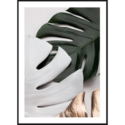 Poster Story, Plakat, Obraz - Biała Monstera, wymiary 50 x 70 cm