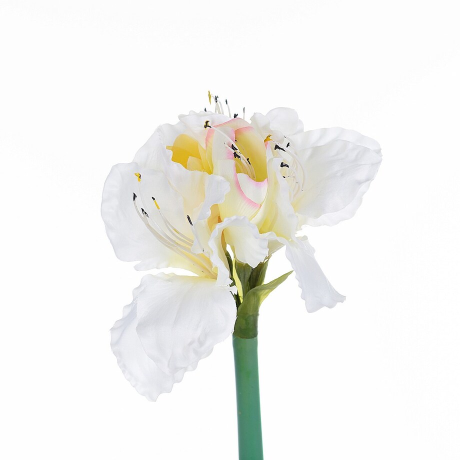 Kwiat Amaryllis White 75cm, 75 cm