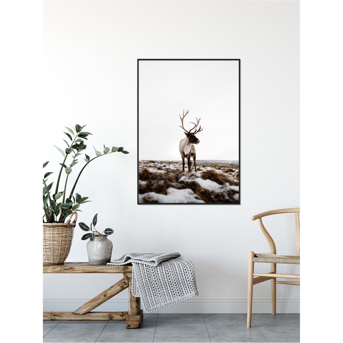 Poster Story, Plakat, Obraz - Renifer w Otoczeniu Śniegu, wymiary 21 x 30 cm
