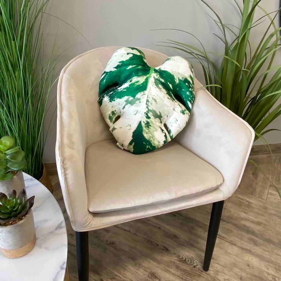 Poduszka Liść Monstera Variegata