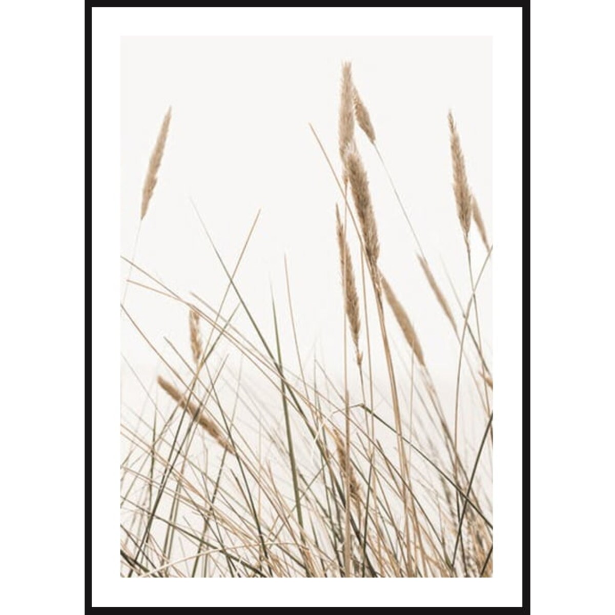 Poster Story, Plakat, Obraz - Kołyszące Trzciny, wymiary 42 x 60 cm