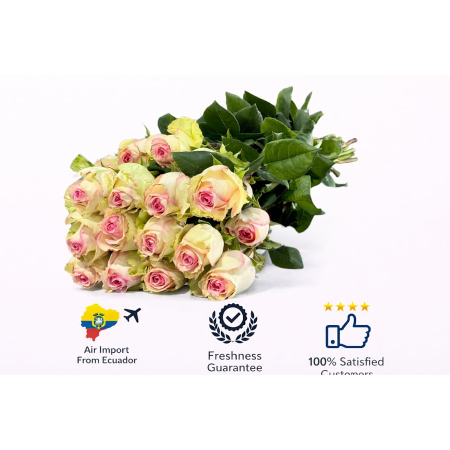 Bukiet róż Esperance – 25 sztuk, wysokość 40-45cm (Ekwador)