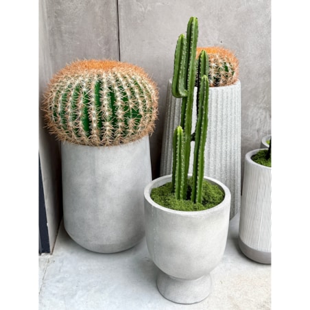 Zestaw kaktusów kulistych 25 i 45 cm Monnarita