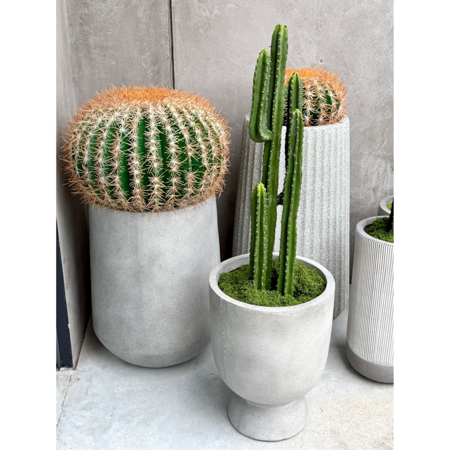 Zestaw kaktusów kulistych 25 i 45 cm Monnarita