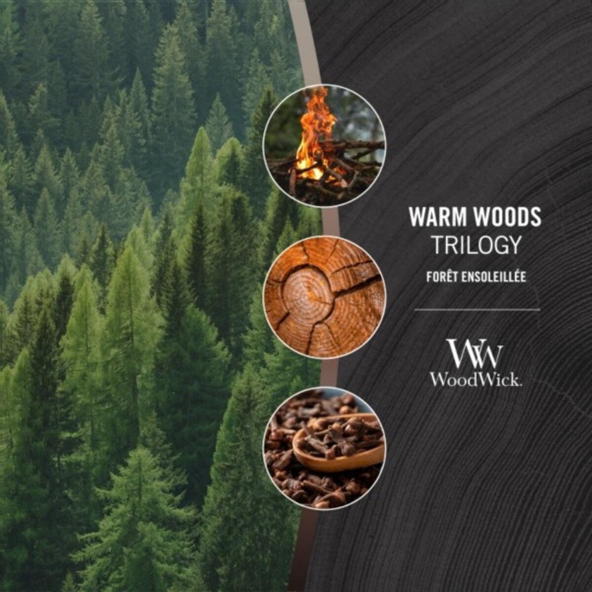 WoodWick świeca Elipsa WARM WOODS
